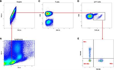 Phenotypic changes of γδ T cells in Plasmodium falciparum placental malaria and pregnancy outcomes in women at delivery in Cameroon